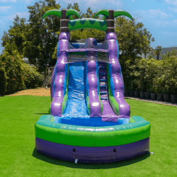 IMG 7959 1755526533 16 Foot Purple Tropical Water Slide